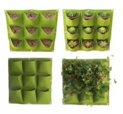 Wall Planter