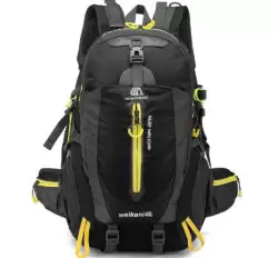 Nylon Travel Backpack