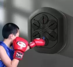 Smart Boxing Wall Target