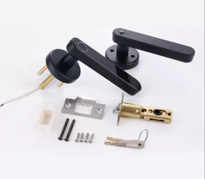 Fingerprint Door Lock - Image 4